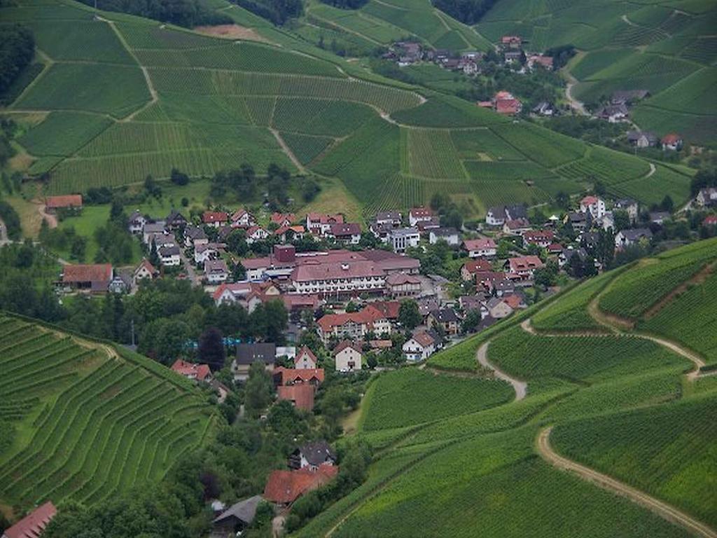 Gasthaus Hohberg Durbach Exterior photo